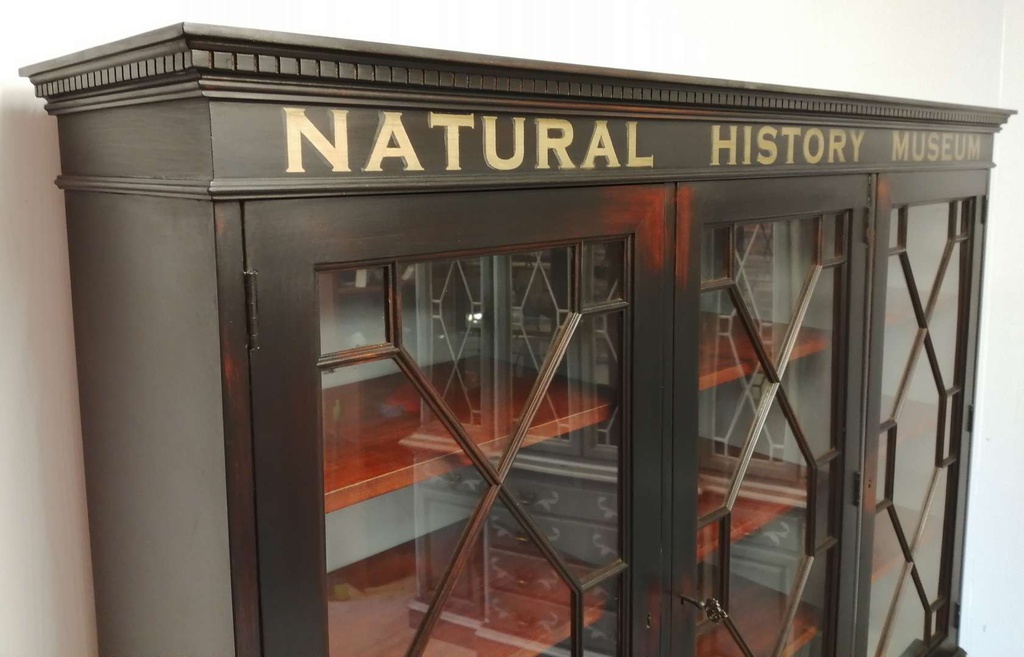 Black Natural History Museum Themed Large Glazed Top Dresser