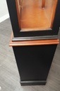 Large Painted  Glazed Top  Display Unit